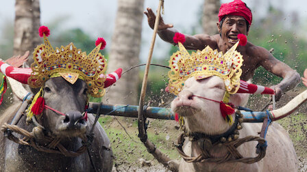 Watch Makepung Lampit. Episode 7 of Season 1.